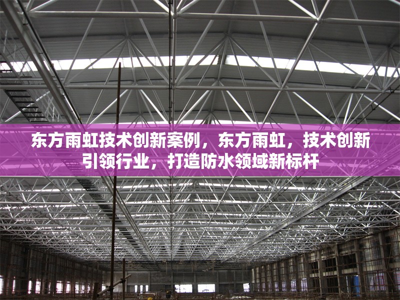 東方雨虹技術創新案例，東方雨虹，技術創新引領行業，打造防水領域新標桿