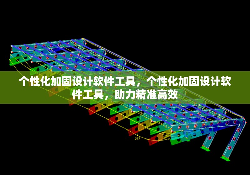 個性化加固設計軟件工具，個性化加固設計軟件工具，助力精準高效