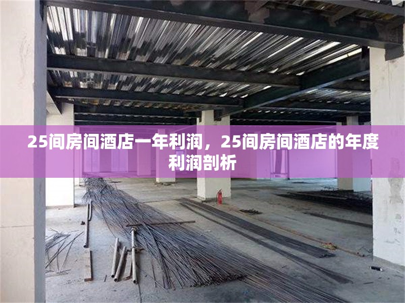 25間房間酒店一年利潤，25間房間酒店的年度利潤剖析