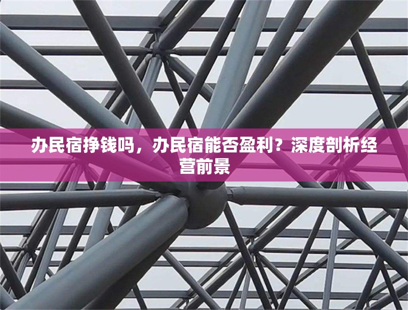 辦民宿掙錢嗎，辦民宿能否盈利？深度剖析經(jīng)營前景 行業(yè)新聞 第1張