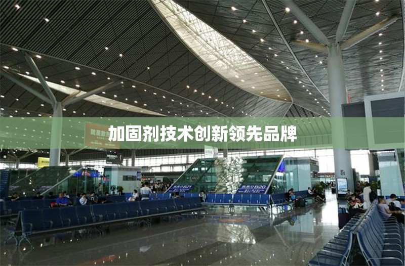 加固劑技術創新領先品牌