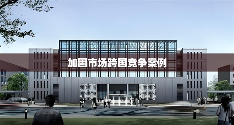 加固市場跨國競爭案例 行業新聞 第1張