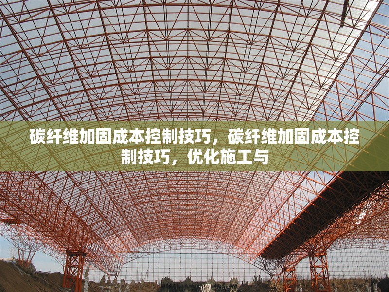 碳纖維加固成本控制技巧，碳纖維加固成本控制技巧，優化施工與 行業新聞 第1張