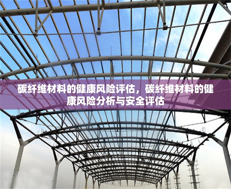 碳纖維材料的健康風險評估，碳纖維材料的健康風險分析與安全評估 行業新聞 第1張