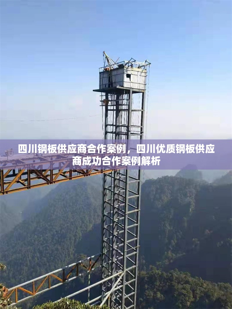 四川鋼板供應商合作案例，四川優質鋼板供應商成功合作案例解析