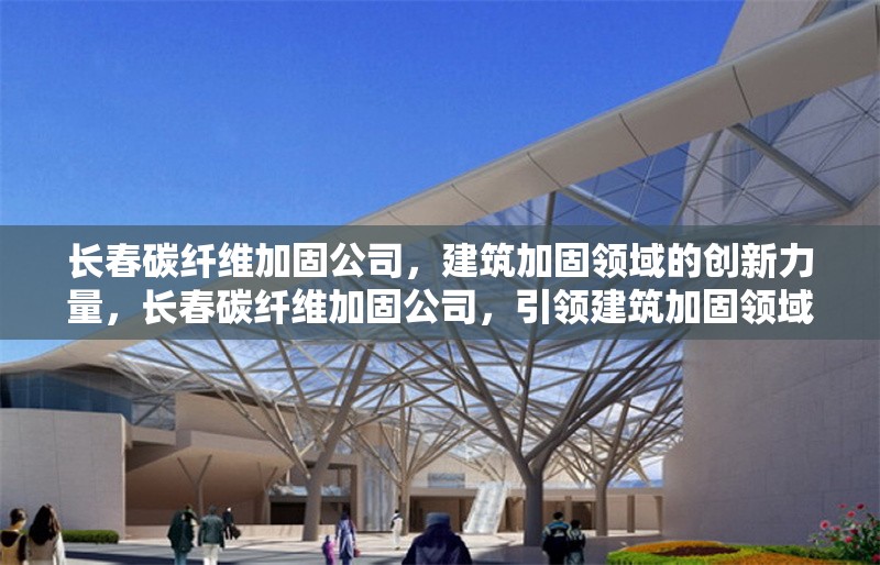 長春碳纖維加固公司，建筑加固領域的創新力量，長春碳纖維加固公司，引領建筑加固領域的創新先鋒