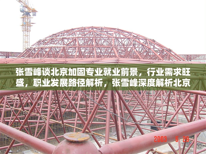 張雪峰談北京加固專業就業前景，行業需求旺盛，職業發展路徑解析，張雪峰深度解析北京加固專業就業前景，行業需求旺盛與職業發展路徑