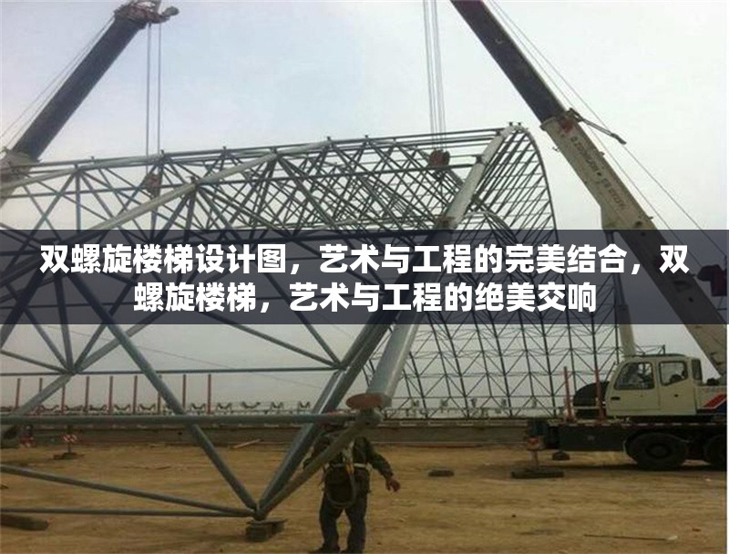 雙螺旋樓梯設(shè)計(jì)圖，藝術(shù)與工程的完美結(jié)合，雙螺旋樓梯，藝術(shù)與工程的絕美交響