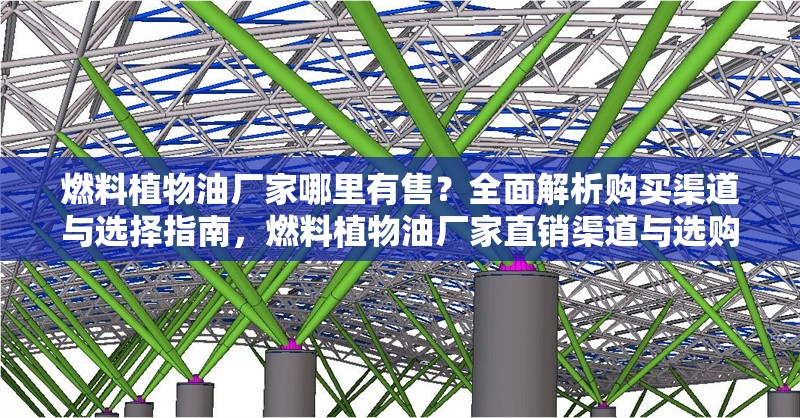 燃料植物油廠家哪里有售？全面解析購買渠道與選擇指南，燃料植物油廠家直銷渠道與選購指南全解析