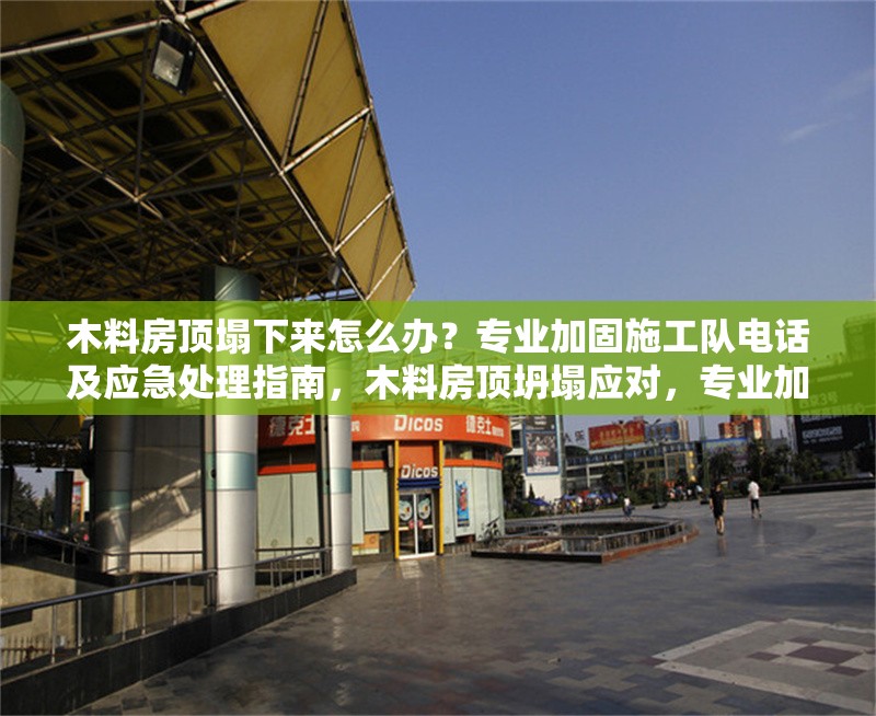 木料房頂塌下來怎么辦？專業(yè)加固施工隊電話及應急處理指南，木料房頂坍塌應對，專業(yè)加固隊電話與應急處理