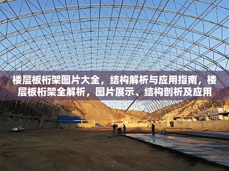樓層板桁架圖片大全，結構解析與應用指南，樓層板桁架全解析，圖片展示、結構剖析及應用