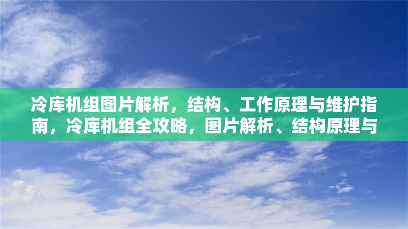 冷庫機組圖片解析，結(jié)構(gòu)、工作原理與維護指南，冷庫機組全攻略，圖片解析、結(jié)構(gòu)原理與維護要點詳解