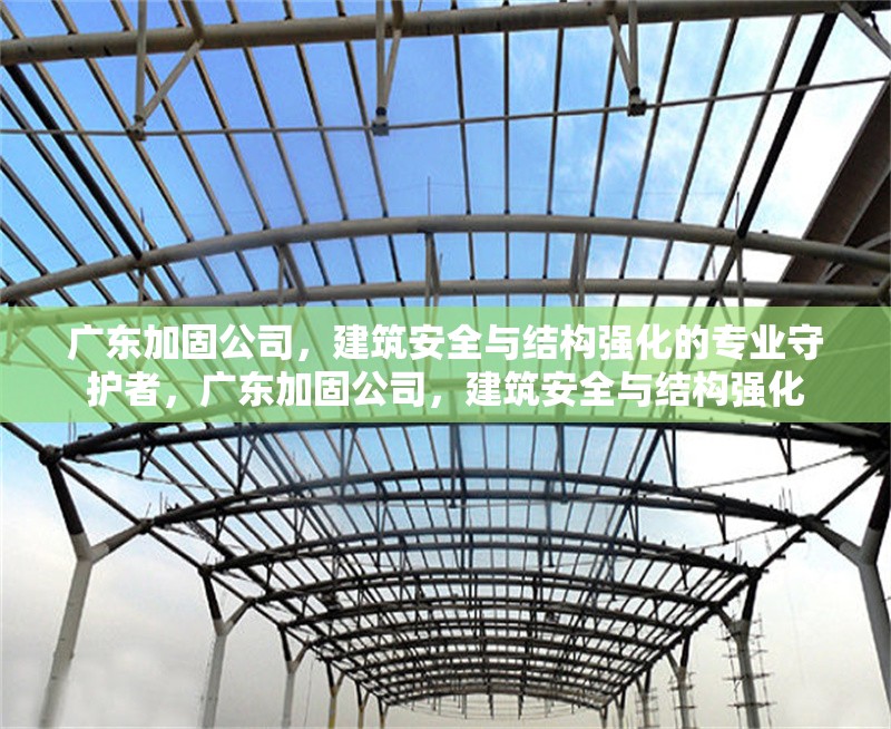 廣東加固公司，建筑安全與結構強化的專業守護者，廣東加固公司，建筑安全與結構強化