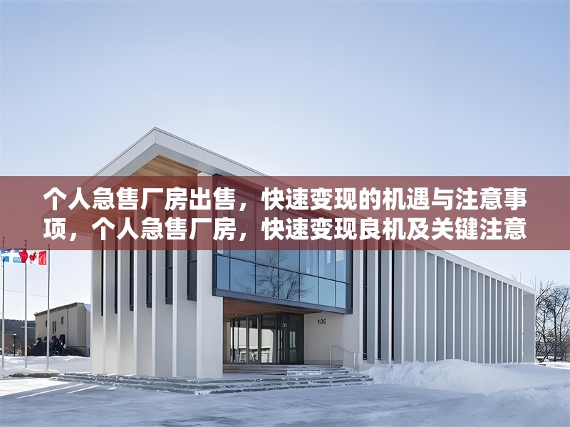 個人急售廠房出售，快速變現的機遇與注意事項，個人急售廠房，快速變現良機及關鍵注意事項詳解 行業新聞