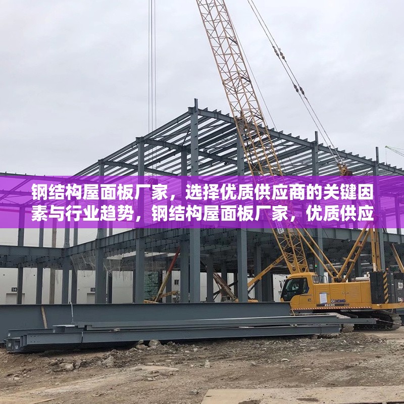 鋼結構屋面板廠家，選擇優質供應商的關鍵因素與行業趨勢，鋼結構屋面板廠家，優質供應商選擇要點與行業趨勢洞察