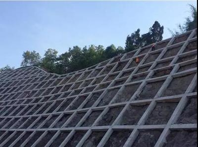 綠色加固材料的國際標準對比，綠色加固材料國際標準 行業新聞 第6張